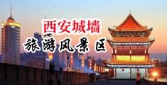 女同暴操小母狗中国陕西-西安城墙旅游风景区